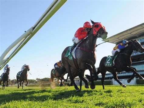 redzel stakes betting|Horse Racing News Australia .